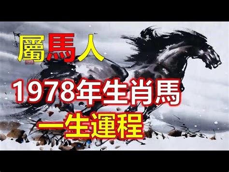 1978屬馬的女人2023|【1978屬馬的女人2023】揭曉1978屬馬女人的2023運勢：命運之。